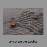 dry Sorlaguna groundbed